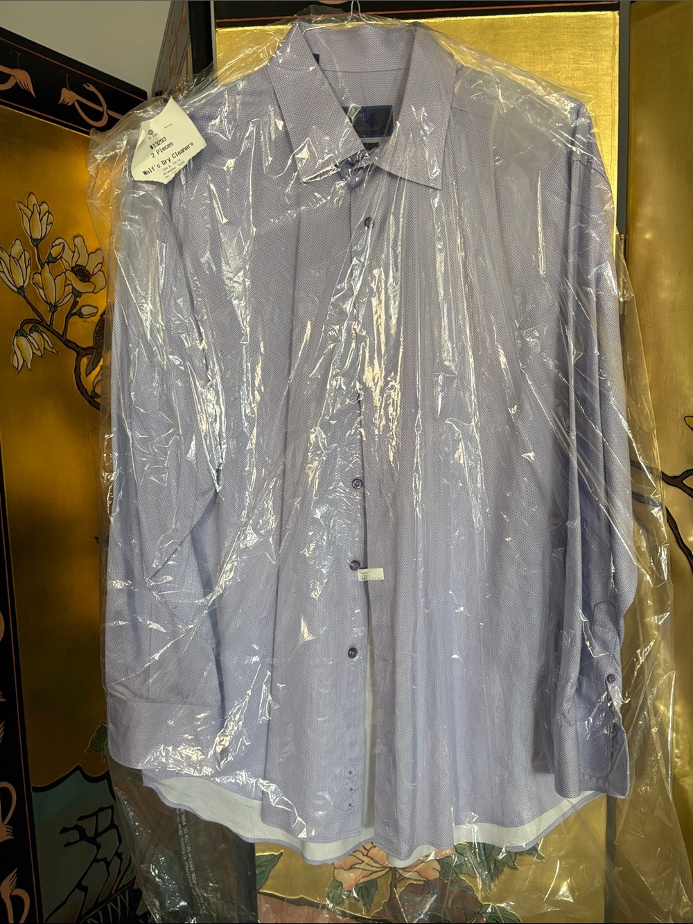 David Donahue Men's Light Blue Dress Shirt - Subtle Dot Pattern